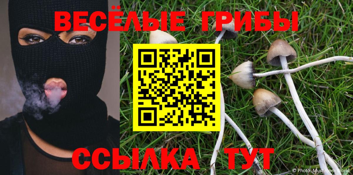Галлюциногенные грибы Psilocybe  Вход с VPN  даркнет сайт  Конаково  Галлюциногенные грибы Cubensis 